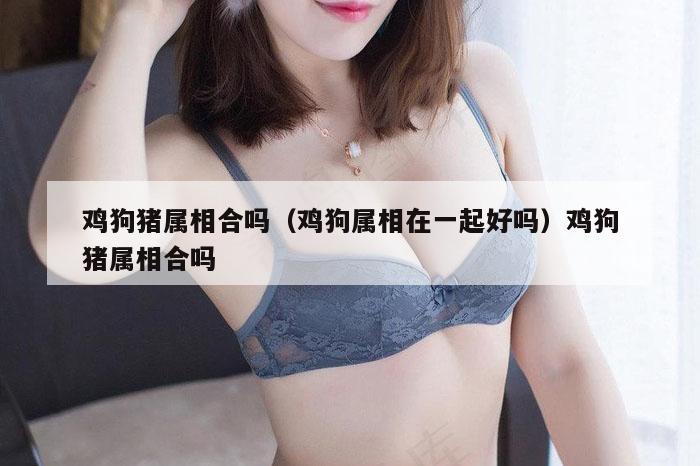 鸡狗猪属相合吗(鸡狗属相在一起好吗)鸡狗猪属相合吗